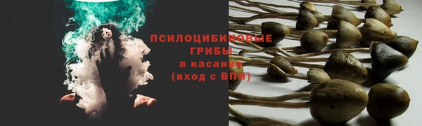 apvp Вяземский