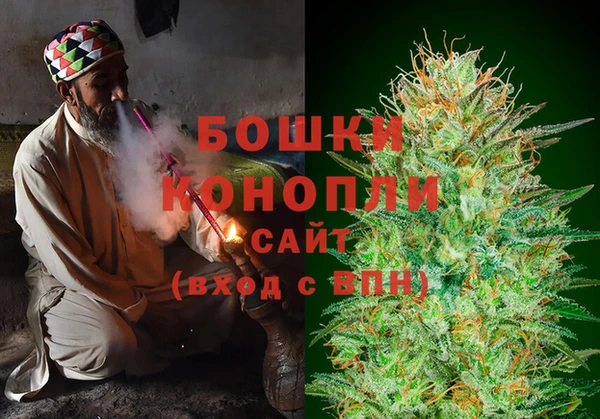 apvp Вяземский