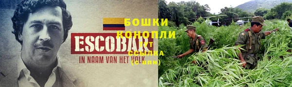 apvp Вяземский