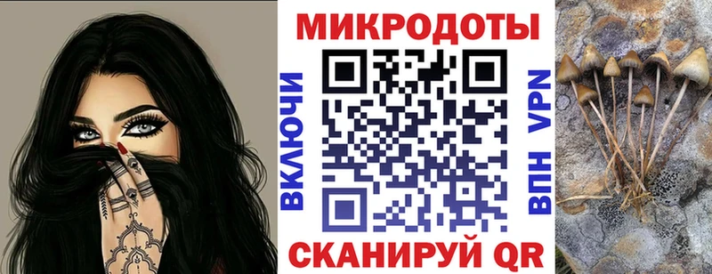 Псилоцибиновые грибы Cubensis  Жуковка 